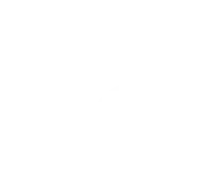 icon with business man and a chart