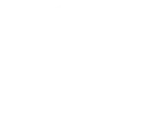 icon of award or medal