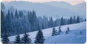 winter landscape