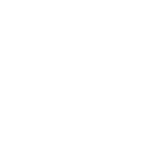 icon for celebrations