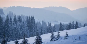 winter landscape